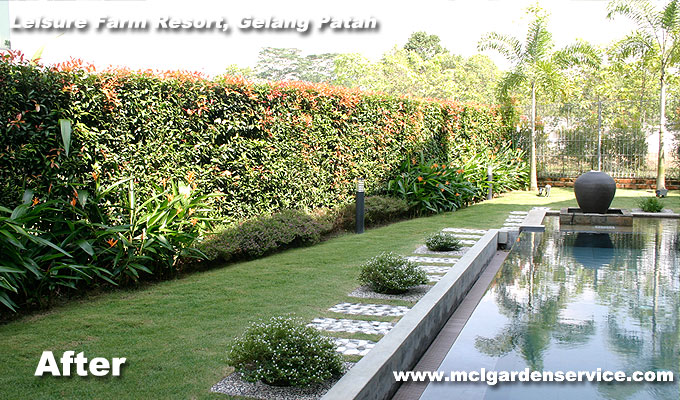 Garden & Plant Nursery Johor