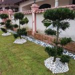 planting-service-johor